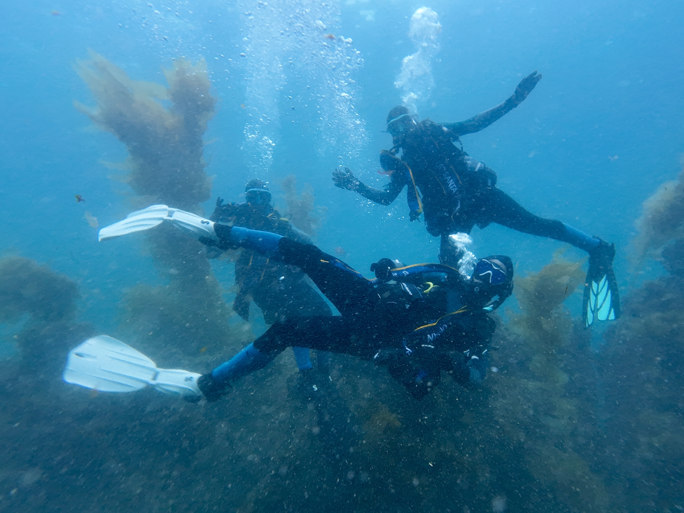 Diving in the Channel Islands